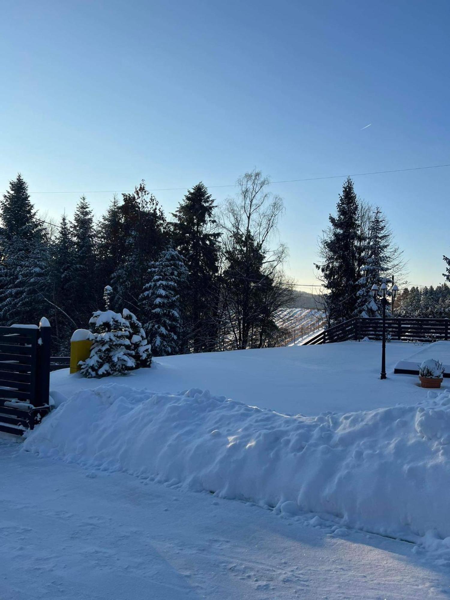 Dom Na Borowkowym Wzgorzu Daire Palesnica Dış mekan fotoğraf