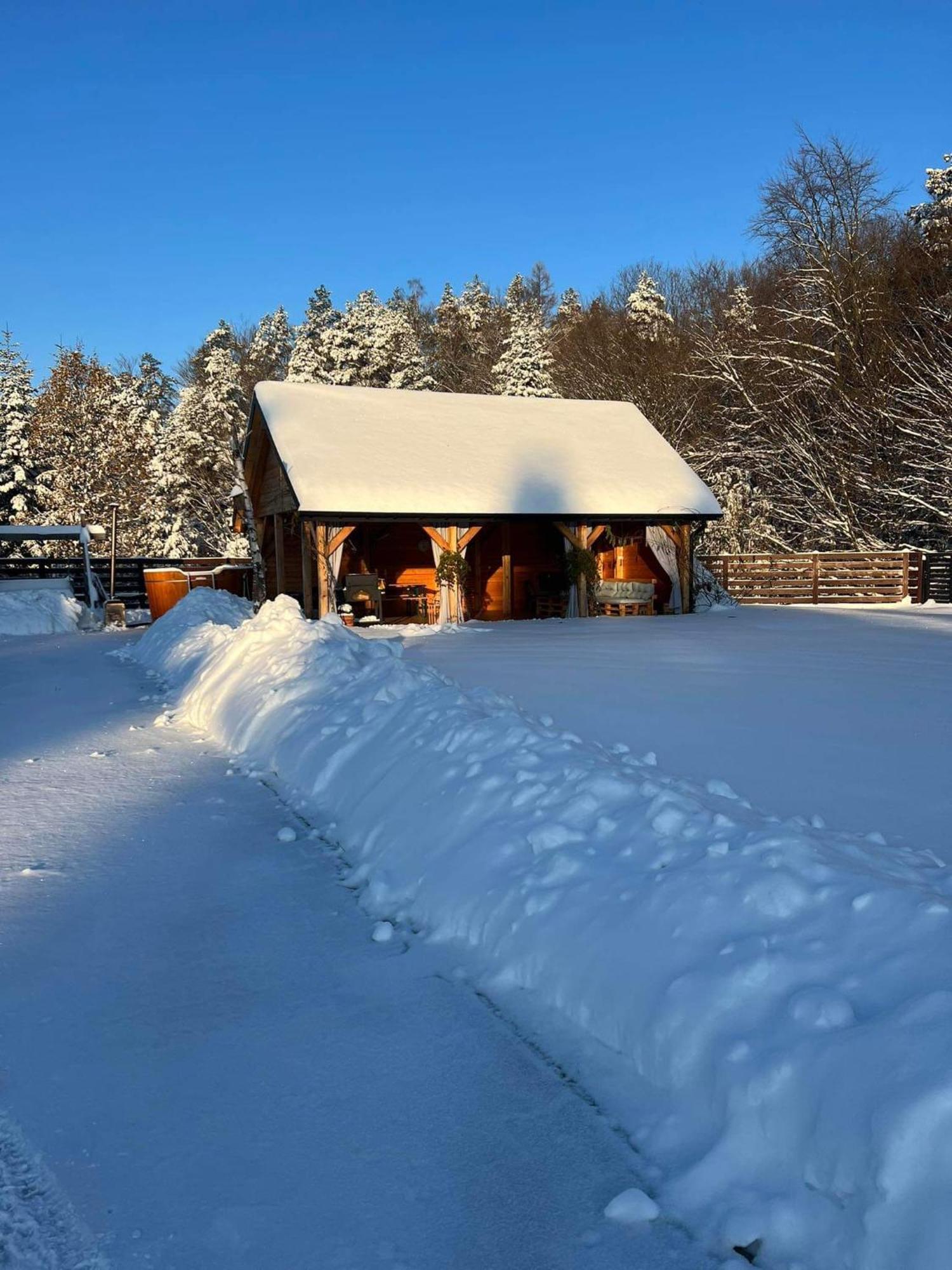 Dom Na Borowkowym Wzgorzu Daire Palesnica Dış mekan fotoğraf